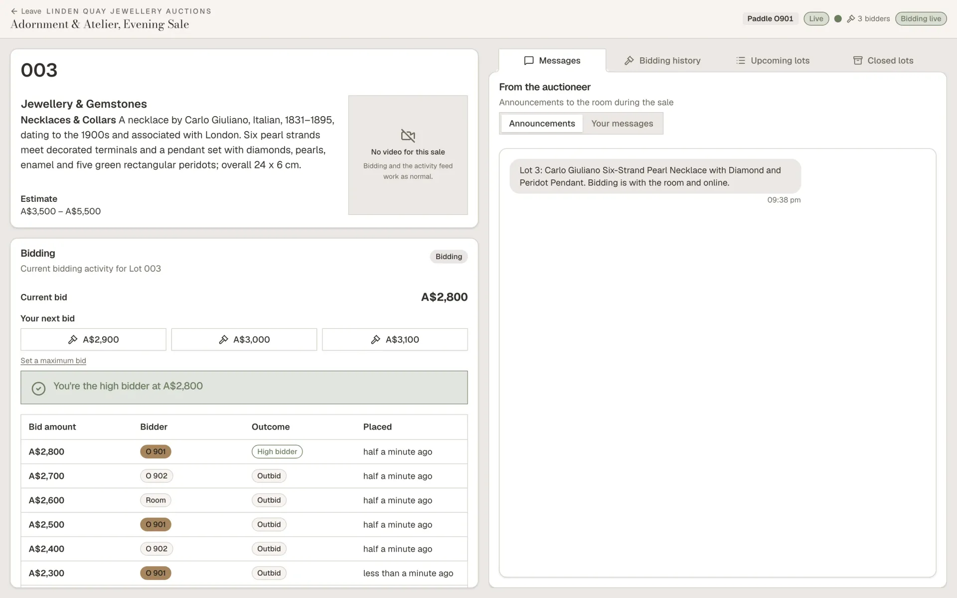 A bidder following a live sale on the website of Linden Quay Jewellery Auctions